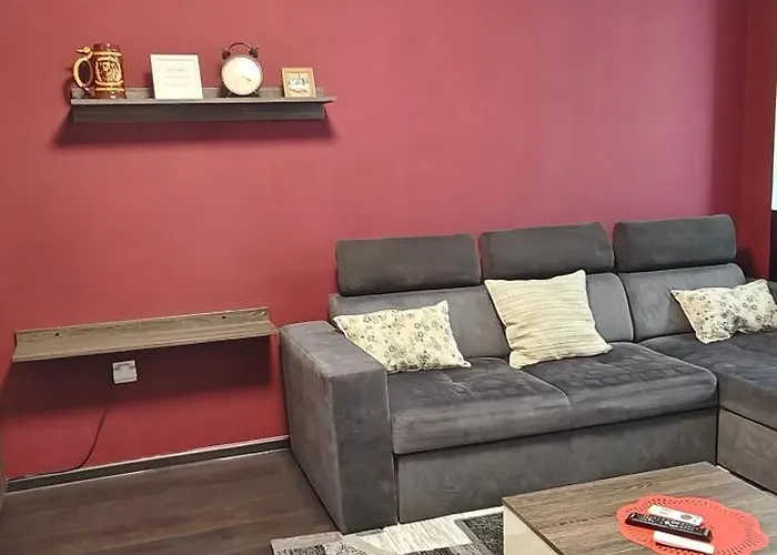 Avangarden * Braşov