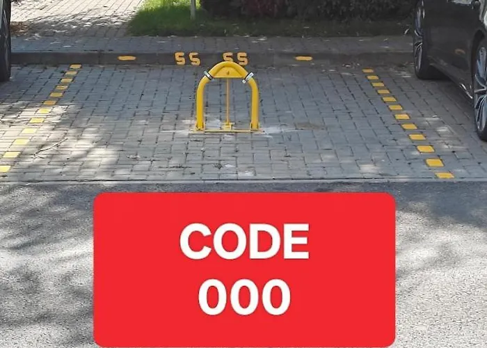 Avangarden * Braşov